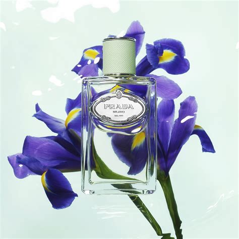 prada iria|Prada iris perfume women.